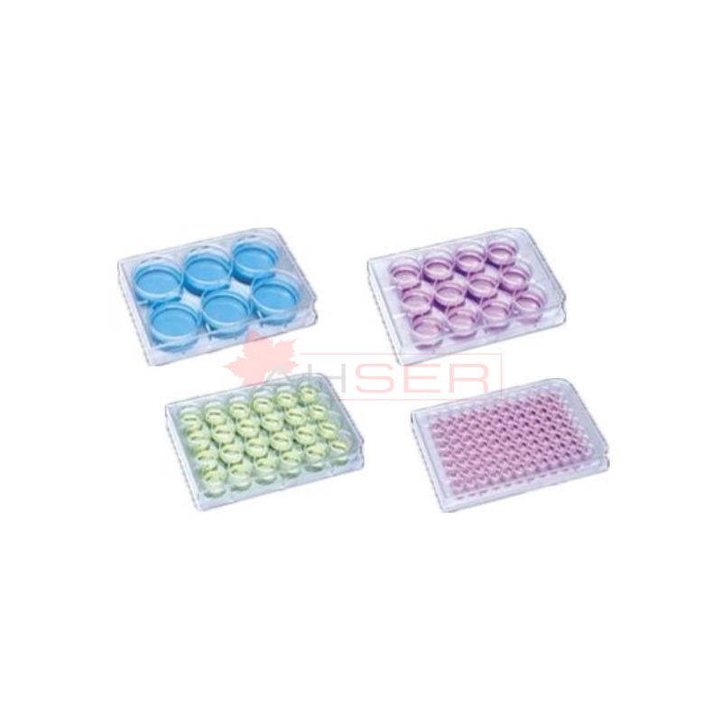 plak - hücre kültürü - 0,2 ml-96 kuyulu